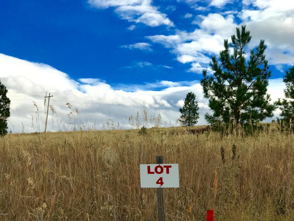 860Cochise WAY, Hamilton, MT 59840