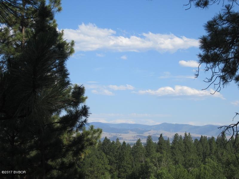 NhnPeekaboo TRL, Hamilton, MT 59840
