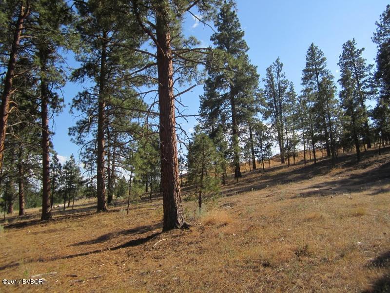 NhnPeekaboo TRL, Hamilton, MT 59840