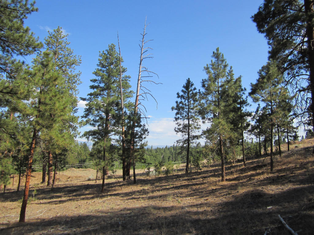 Nhn Peekaboo Trail, Hamilton, MT 59840