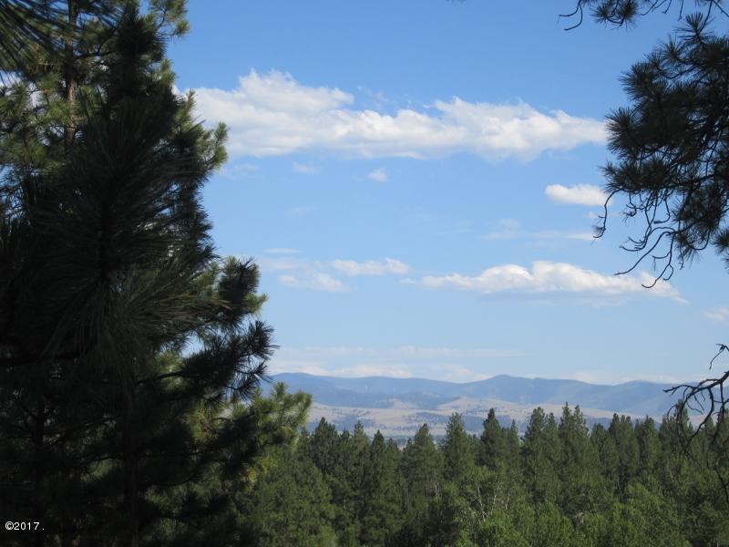 Nhn Peekaboo Trail, Hamilton, MT 59840
