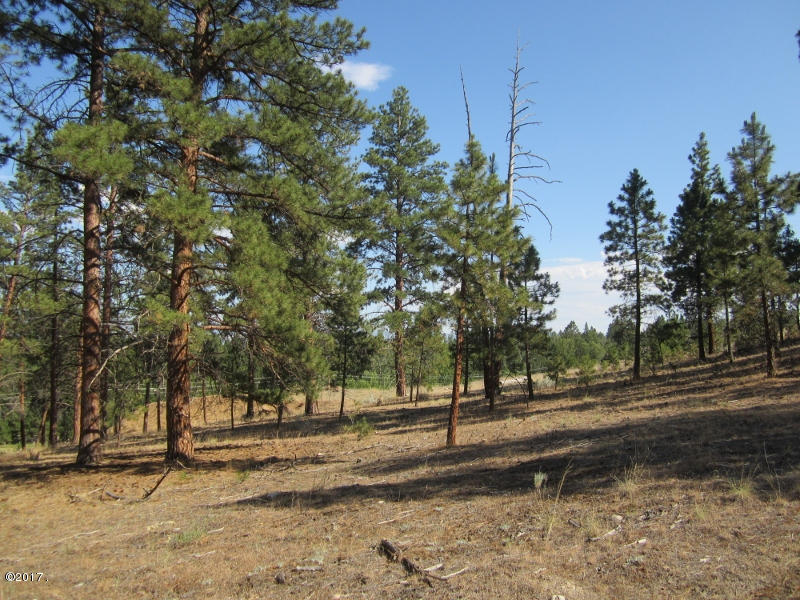 Nhn Peekaboo Trail, Hamilton, MT 59840