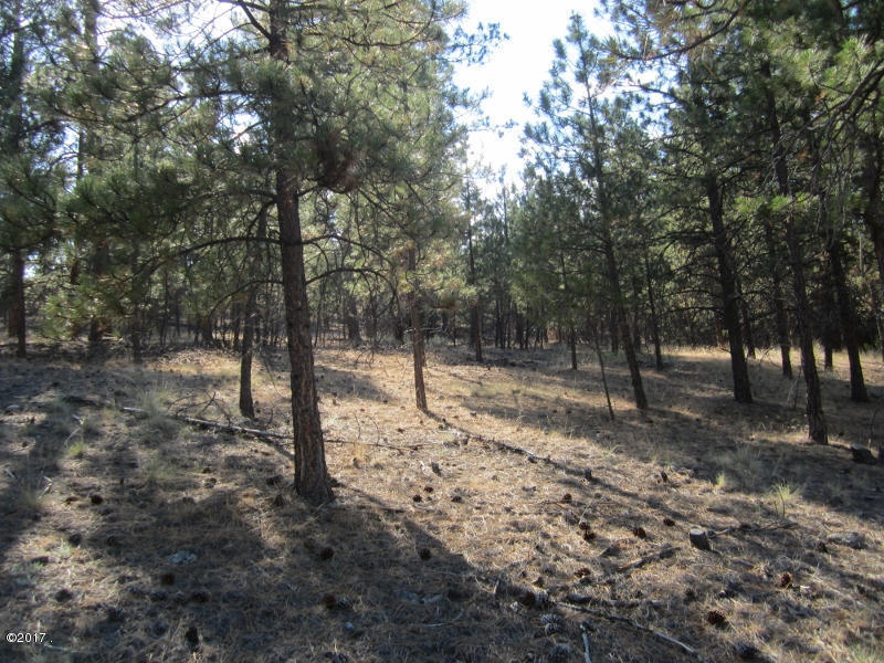 Nhn Peekaboo Trail, Hamilton, MT 59840