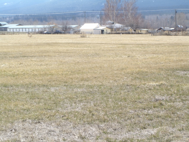 Lot 13 Skalkaho Acres, Hamilton, MT 59840