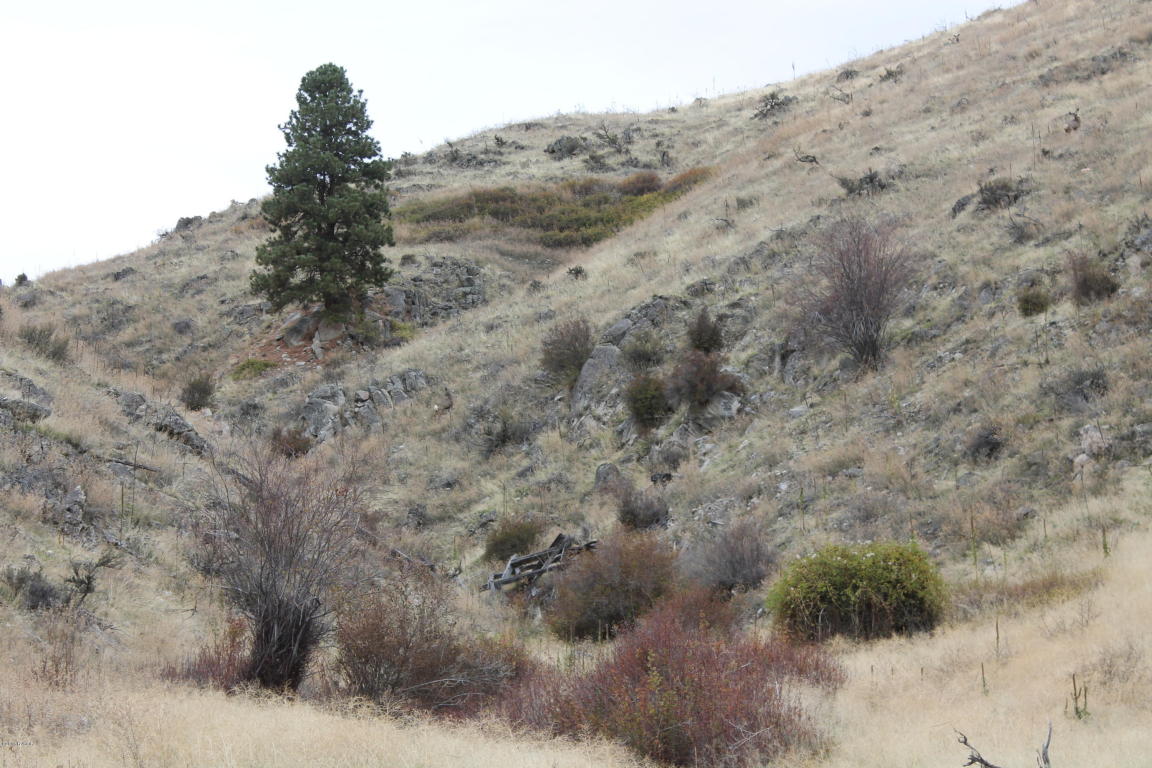 NhnSkalkaho HWY, Hamilton, MT 59840
