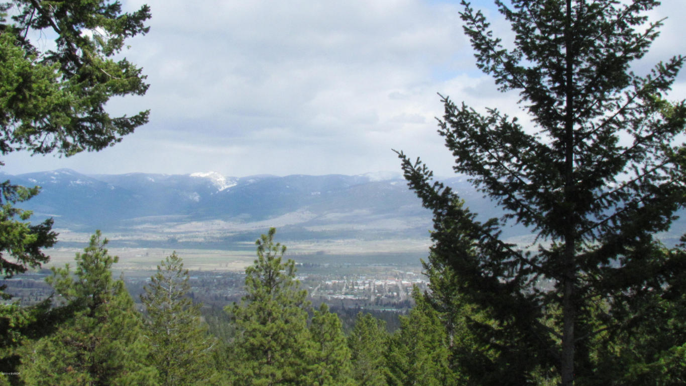 479Wyant LN, Hamilton, MT 59840