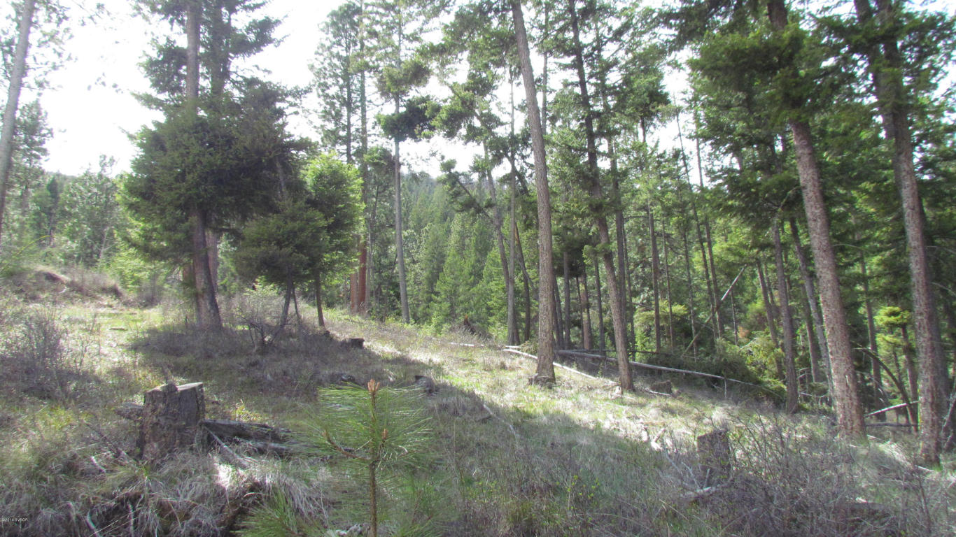 479Wyant LN, Hamilton, MT 59840