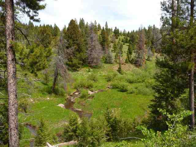 NHN Homestead Road, Helmvile/Ovando, MT 59843