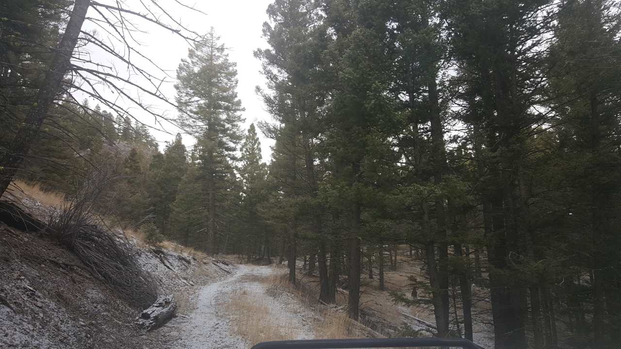 200 North Peak Lane, Helmvile/Ovando, MT 59843