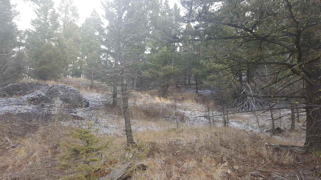 200 North Peak Lane, Helmvile/Ovando, MT 59843