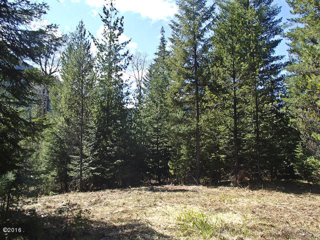 Nhn Sanctuary Lane, Heron, MT 59844