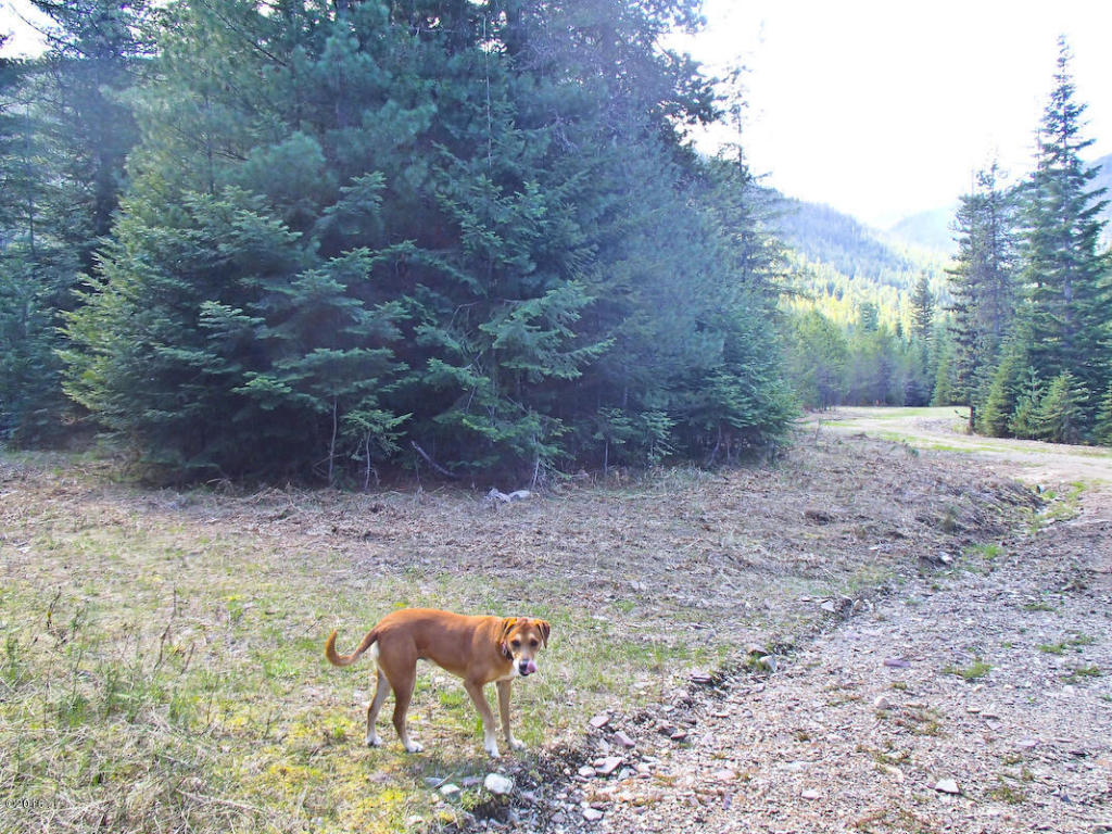 Nhn Sanctuary Lane, Heron, MT 59844