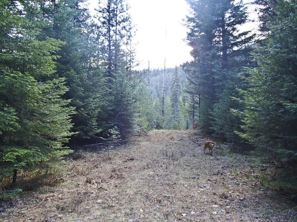 Nhn Sanctuary Lane, Heron, MT 59844
