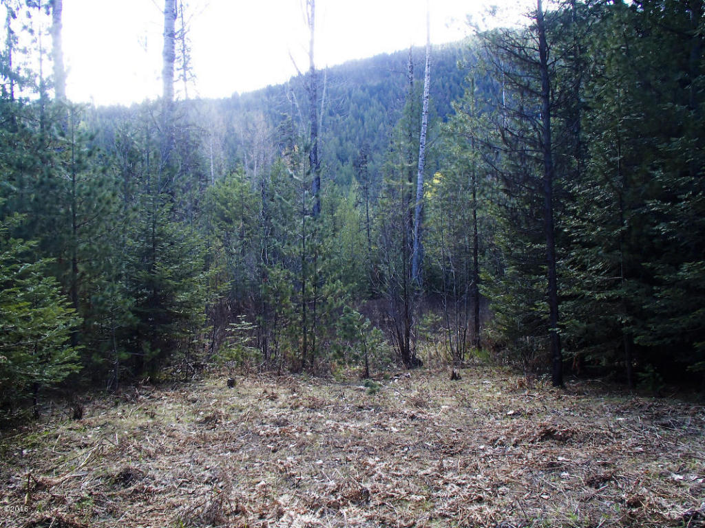 Nhn Sanctuary Lane, Heron, MT 59844