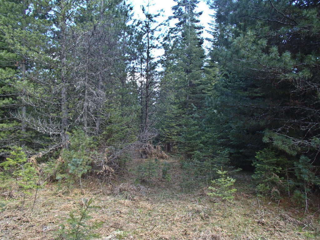 Nhn Sanctuary Lane, Heron, MT 59844