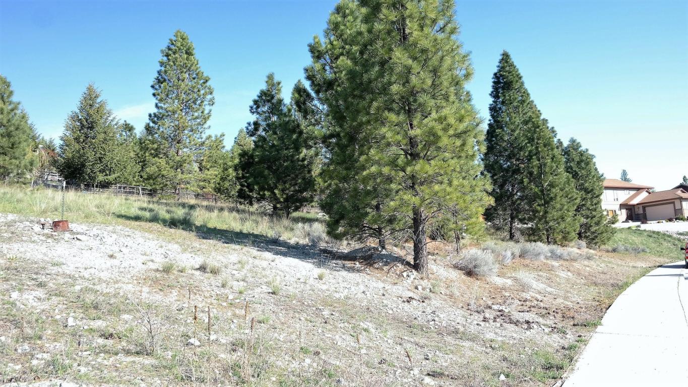 Lot 8 Mari Court, Lolo, MT 59847