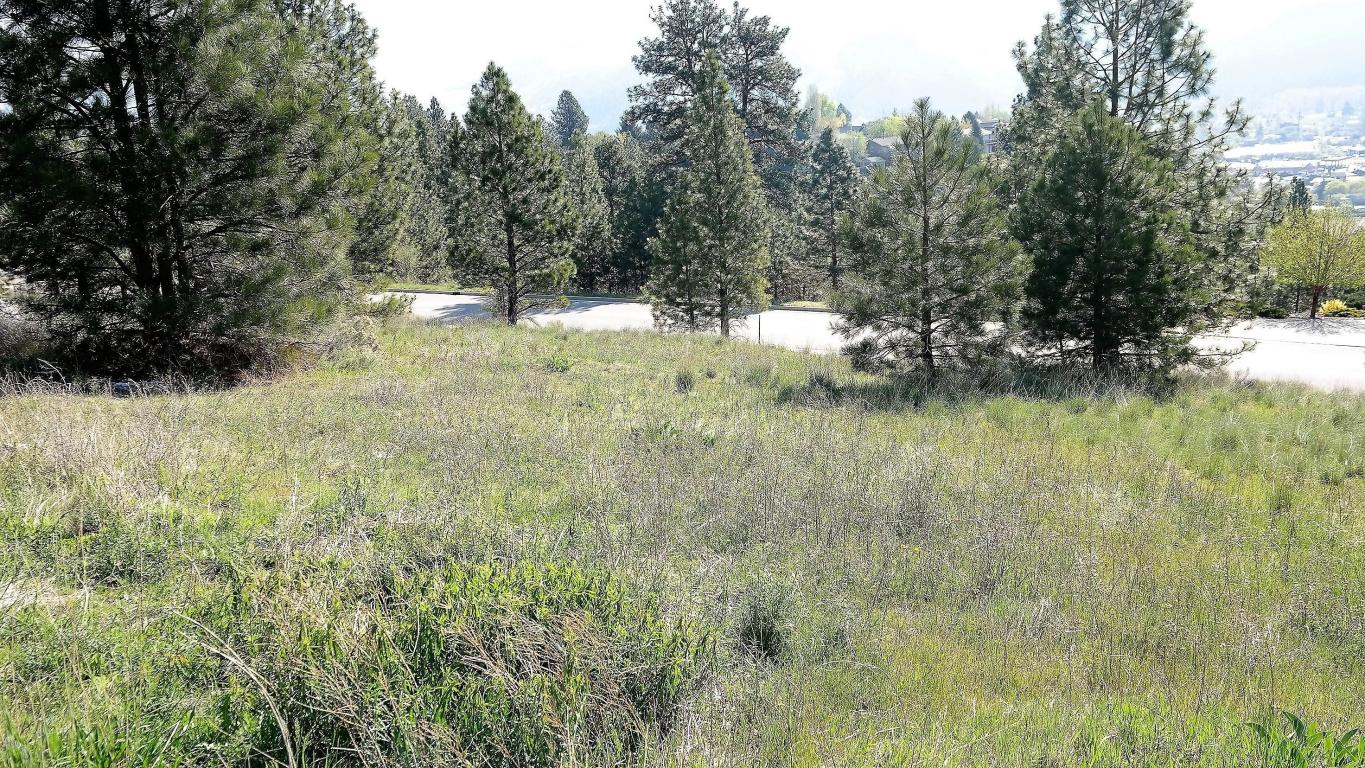 Lot 8 Mari Court, Lolo, MT 59847
