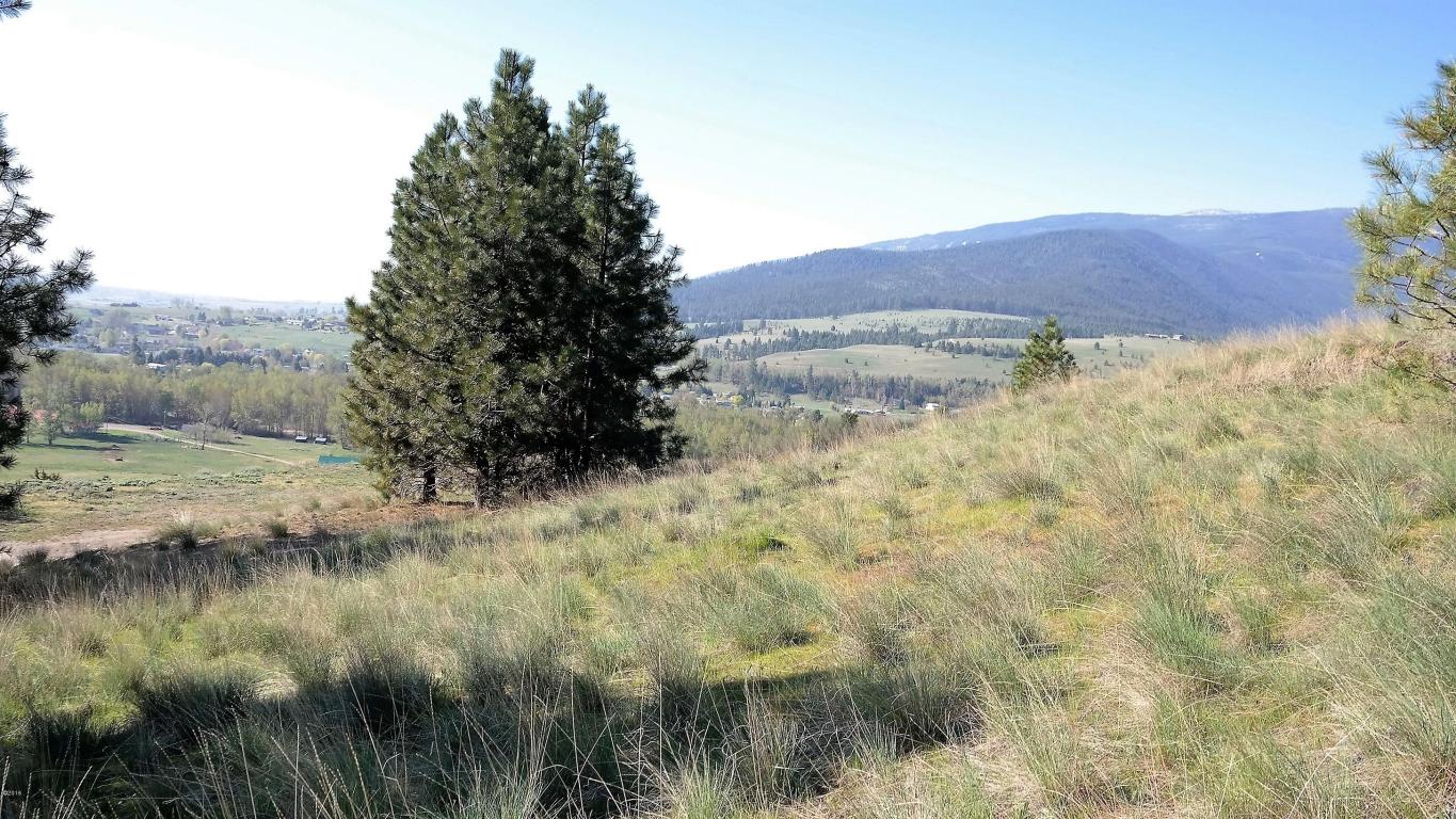 Lot 8 Mari Court, Lolo, MT 59847