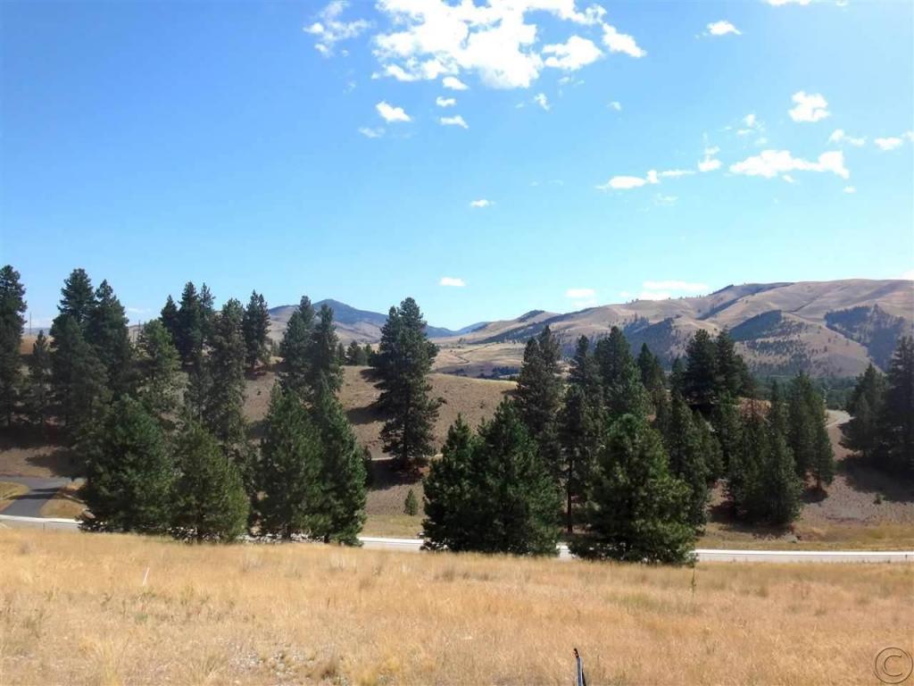 10811 Sugar Pine Place, Lolo, MT 59847