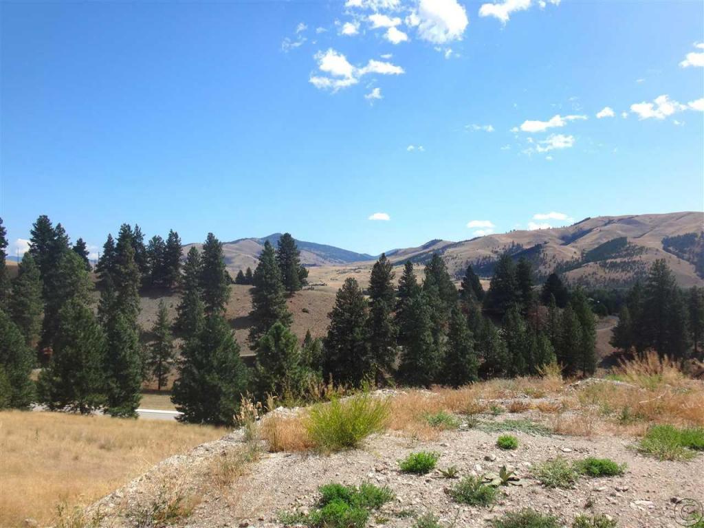 10811 Sugar Pine Place, Lolo, MT 59847