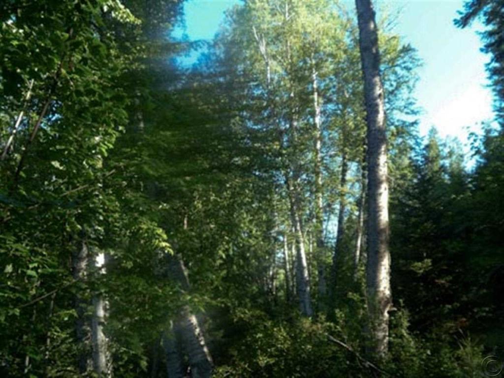 Lot 1 Powerline Bay, Noxon, MT 59853