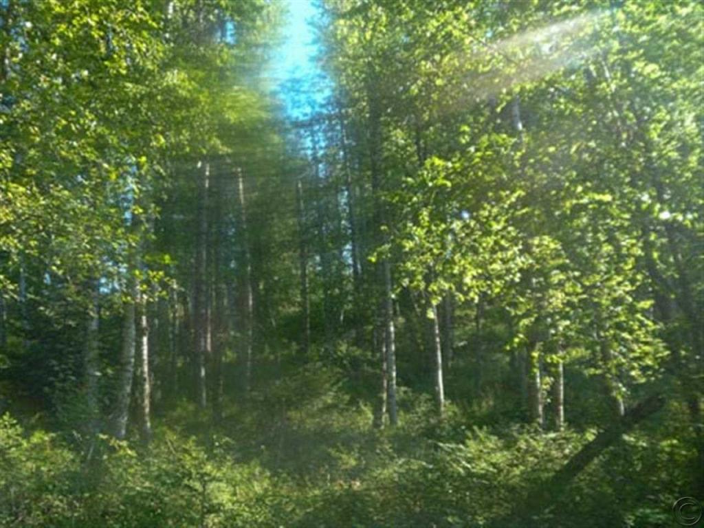 Lot 1 Powerline Bay, Noxon, MT 59853