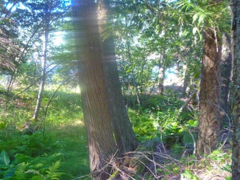 Lot 2 Powerline Bay, Noxon, MT 59853