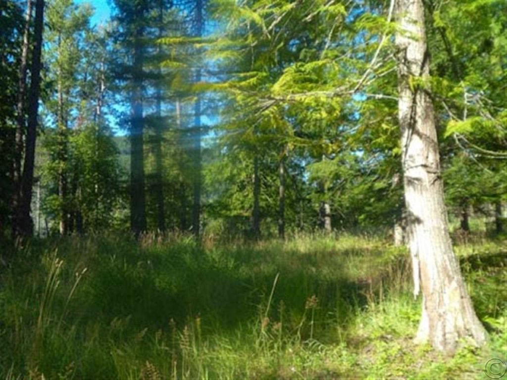 Lot 2 Powerline Bay, Noxon, MT 59853