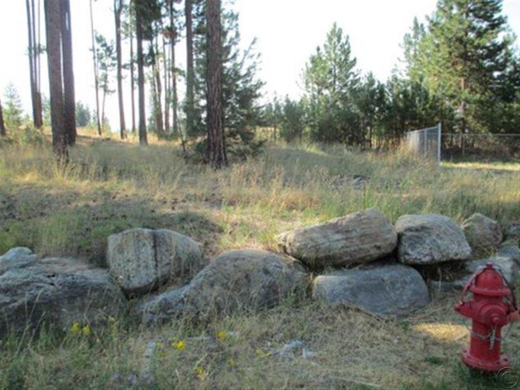 35767 Spike Court, Pablo, MT 59855