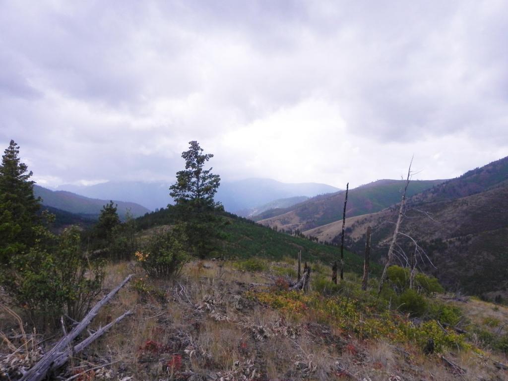 Nhn Mclaughlin Creek Road, Paradise, MT 59856