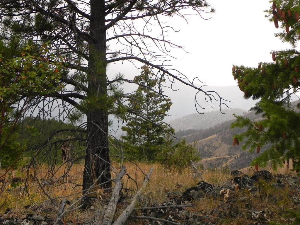 Nhn Mclaughlin Creek Road, Paradise, MT 59856