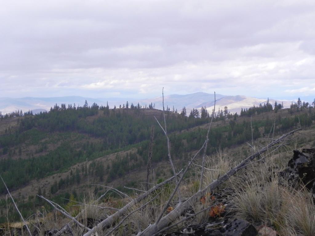 Nhn Mclaughlin Creek Road, Paradise, MT 59856