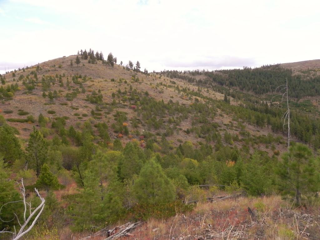 Nhn Mclaughlin Creek Road, Paradise, MT 59856