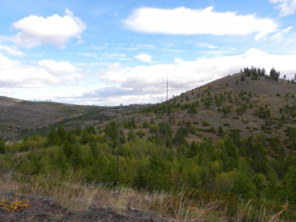 Nhn Mclaughlin Creek Road, Paradise, MT 59856