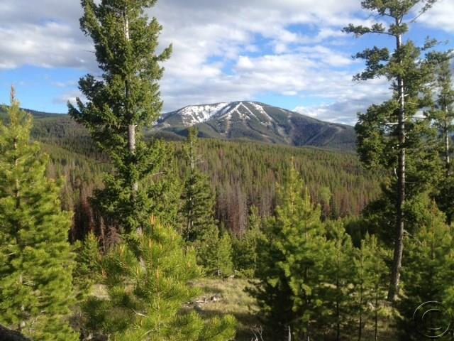 Virginia, Philipsburg, MT 59858