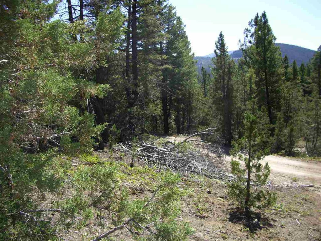 Ib Mining Tower Road, Philipsburg, MT 59858