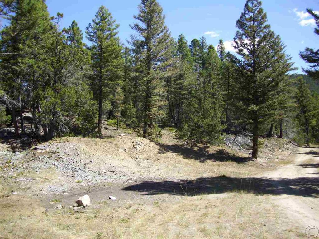 Ib Mining Tower Road, Philipsburg, MT 59858