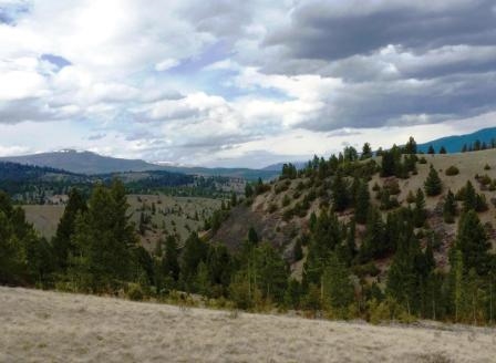 Lot 21 Willow Rock Ranchettes, Philipsburg, MT 59858