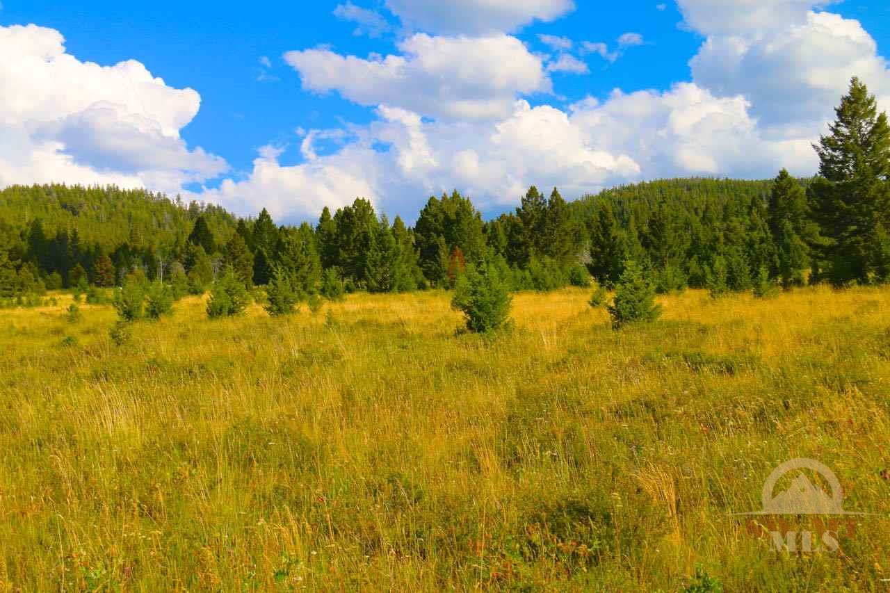 Lot 15 Meadowview, Philipsburg, MT 59858