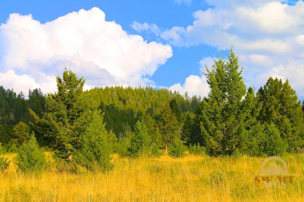 Lot 15 Meadowview, Philipsburg, MT 59858