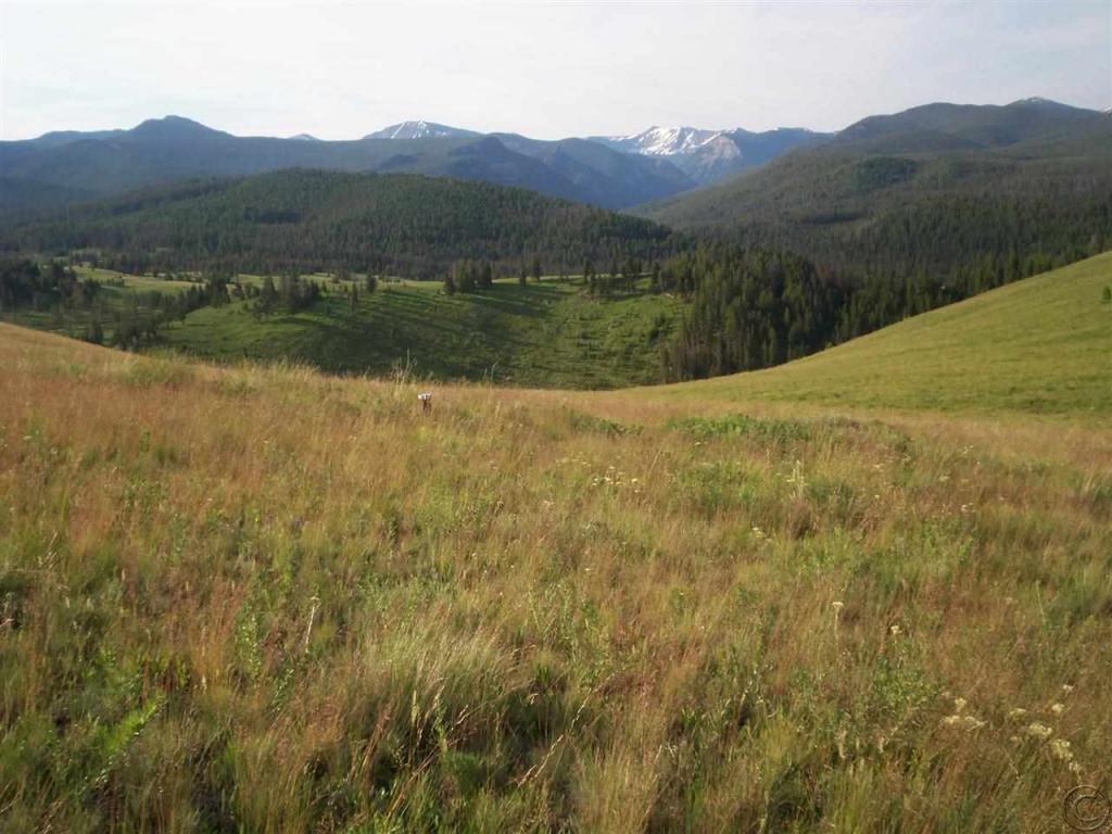 Tbd Aspen Ln, Philipsburg, MT 59858