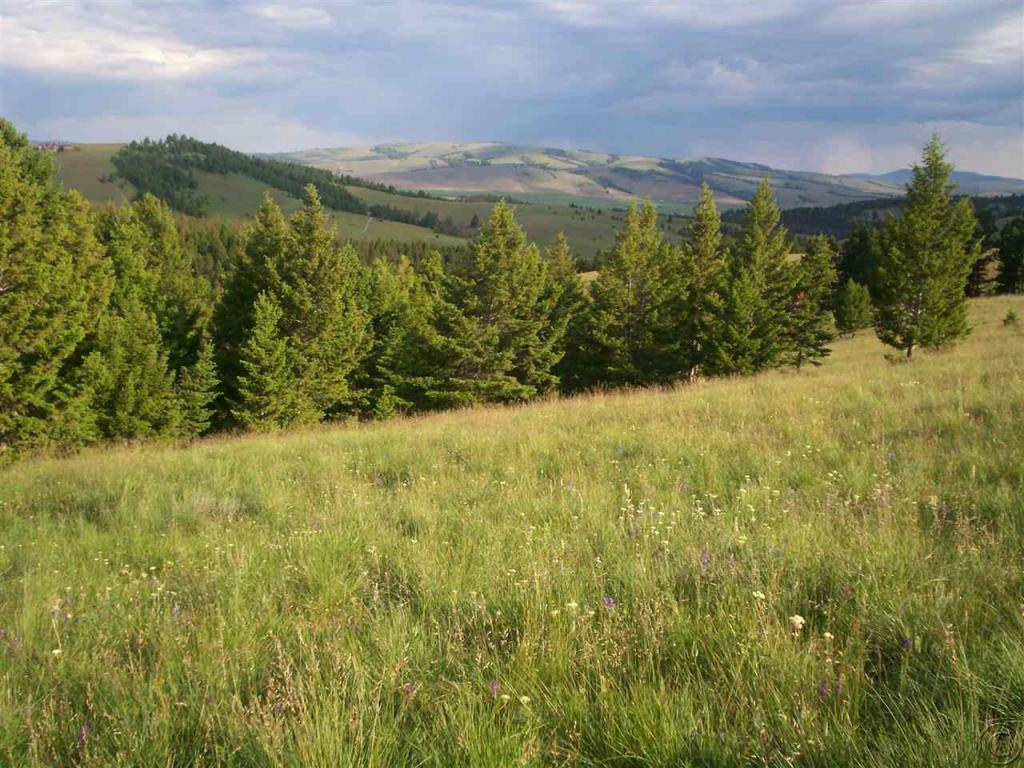 Tbd Aspen Ln, Philipsburg, MT 59858