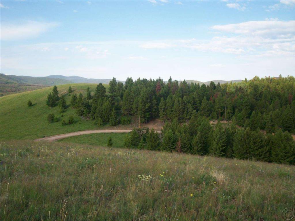 Tbd Aspen Ln, Philipsburg, MT 59858