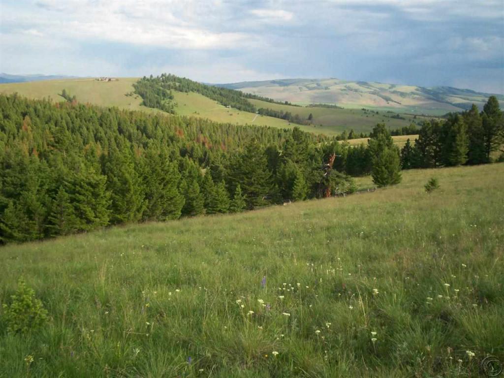 Tbd Aspen Ln, Philipsburg, MT 59858
