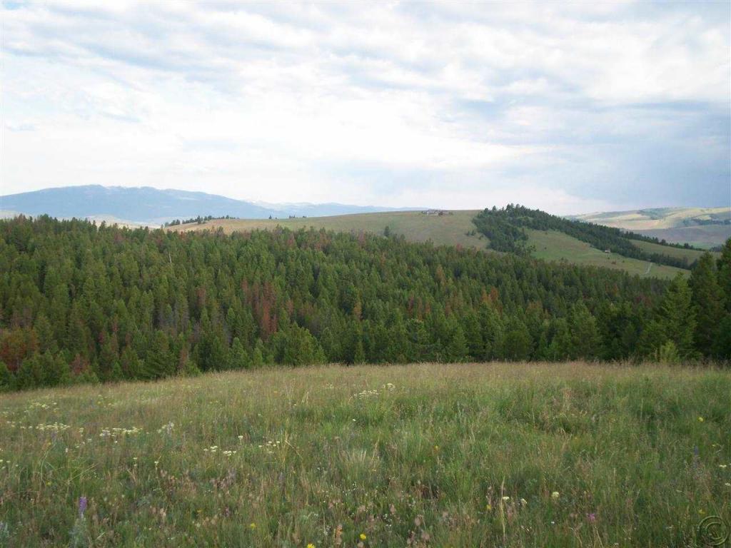 Tbd Aspen Ln, Philipsburg, MT 59858