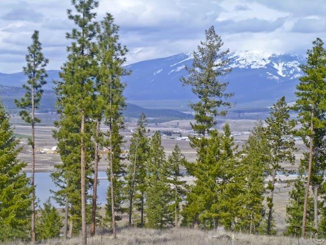 Lot 12 River, Plains, MT 59859