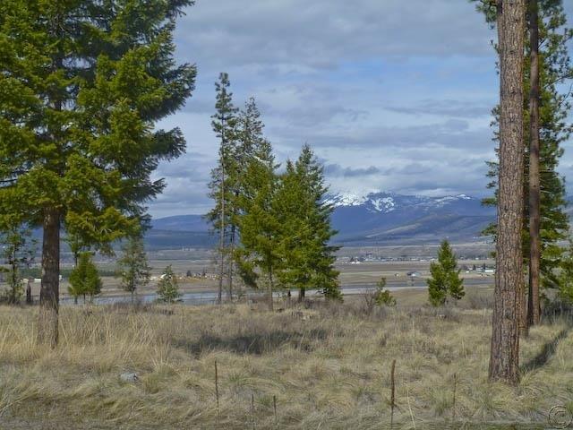 Lot 12 River, Plains, MT 59859