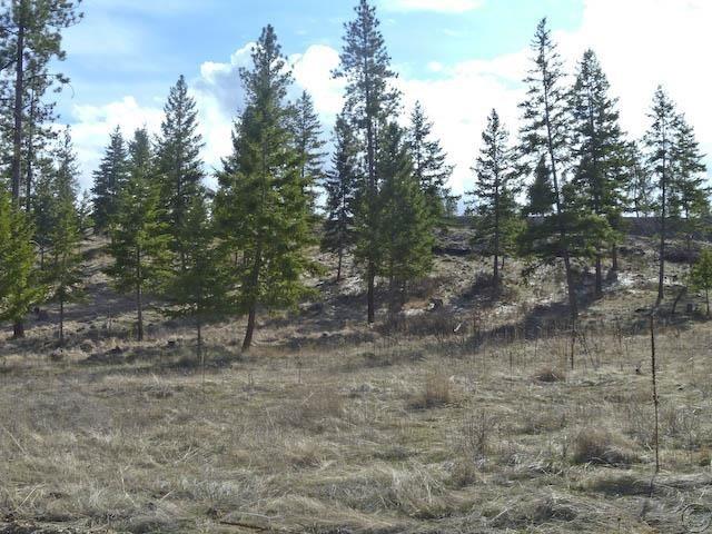 Lot 12 River, Plains, MT 59859