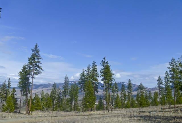 Lot 12 River, Plains, MT 59859