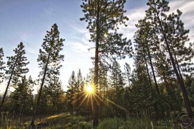 Lot 14 River, Plains, MT 59859